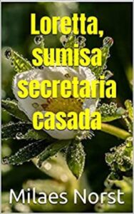 loretta sumisa secretaria casada milaes norst