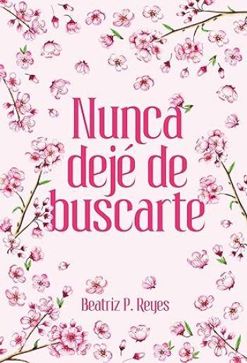 Nunca dejé de buscarte